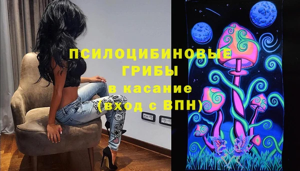 хмурый Абинск