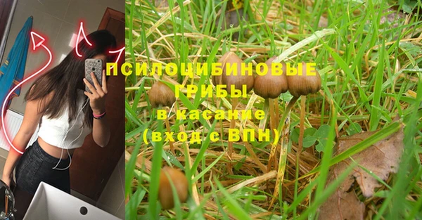 хмурый Абинск