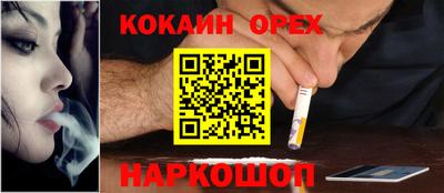 гашик Новодвинск