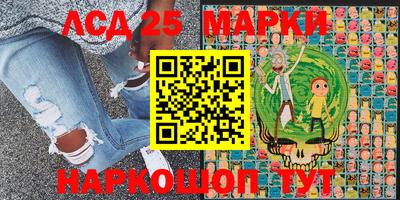 гашик Новодвинск
