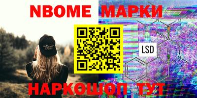 гашик Новодвинск