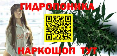 гашик Новодвинск