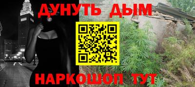 гашик Новодвинск