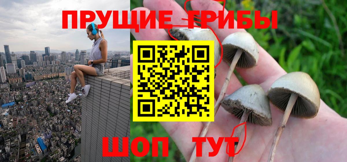 Псилоцибиновые грибы Magic Shrooms Сокол