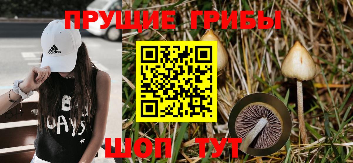 Сокол  Псилоцибиновые грибы мухоморы  Вход с VPN 