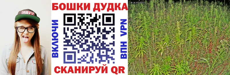 Марихуана OG Kush  Сокол 