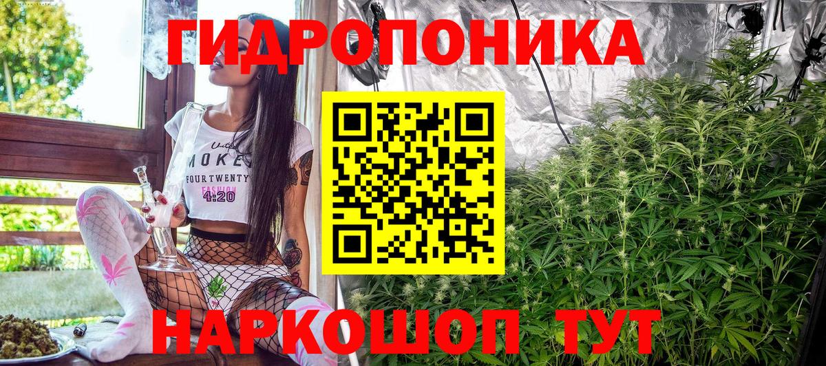Конопля Amnesia Сокол